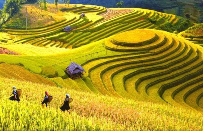 Hong Minh Guesthouse Mu Cang Chai Buitenkant foto